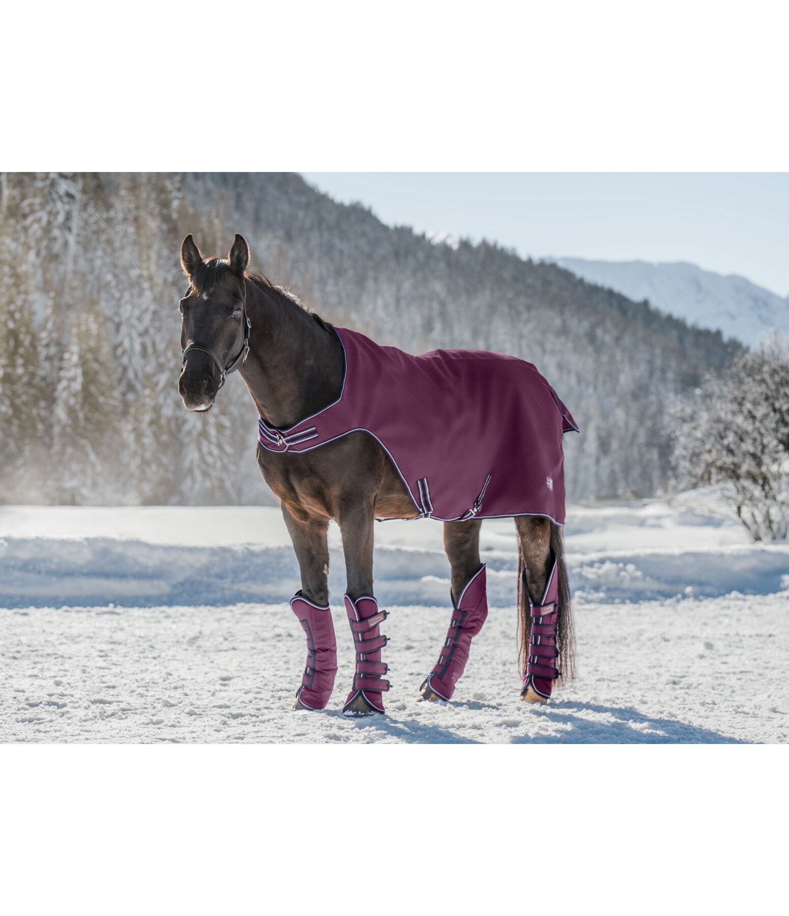 transportbeschermers Kilian