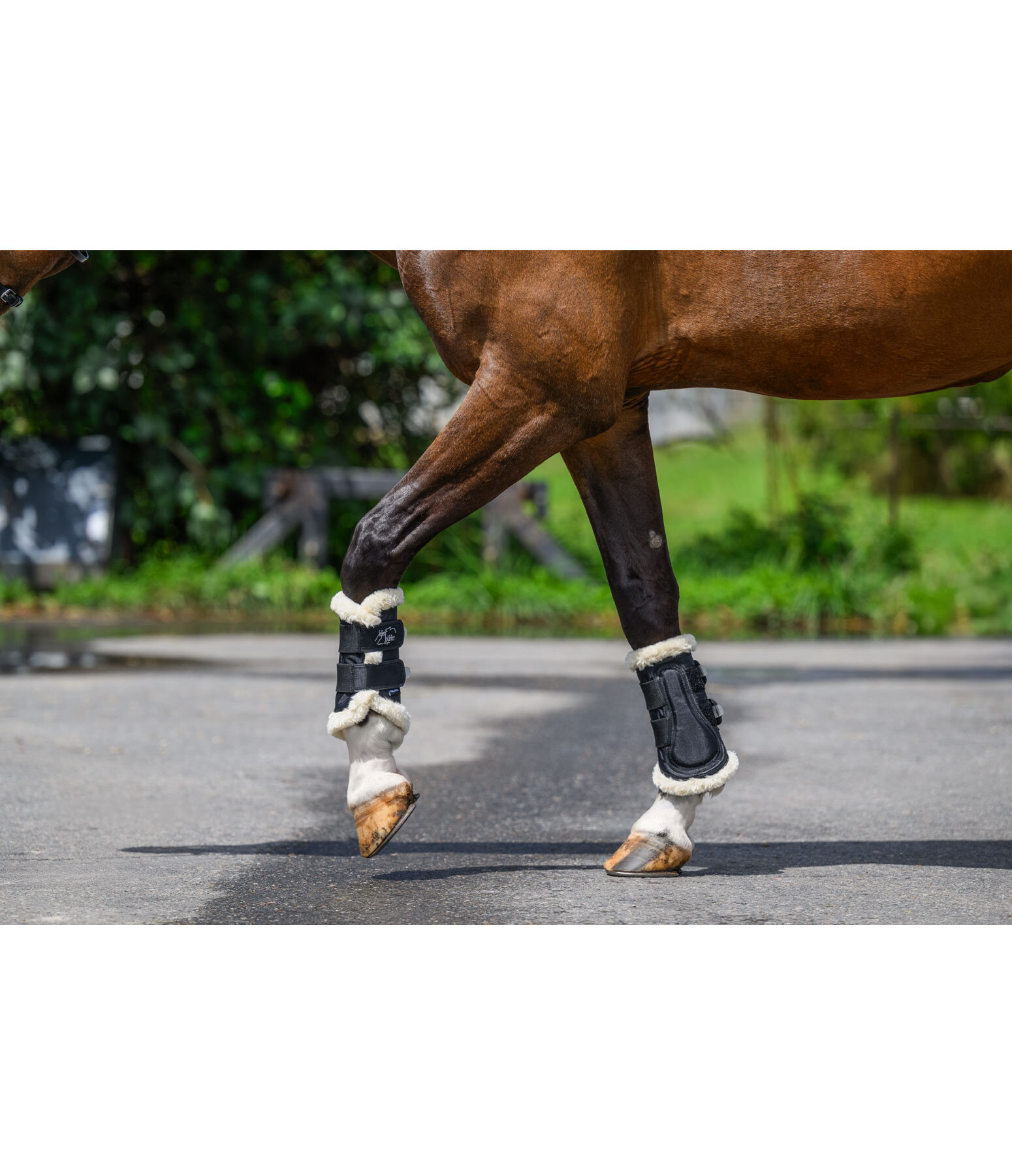 Air beenbeschermers, voorbenen