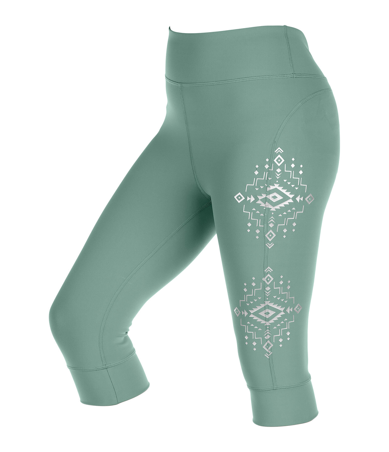 VbST capri voltigelegging Mona voor Kids & Teens