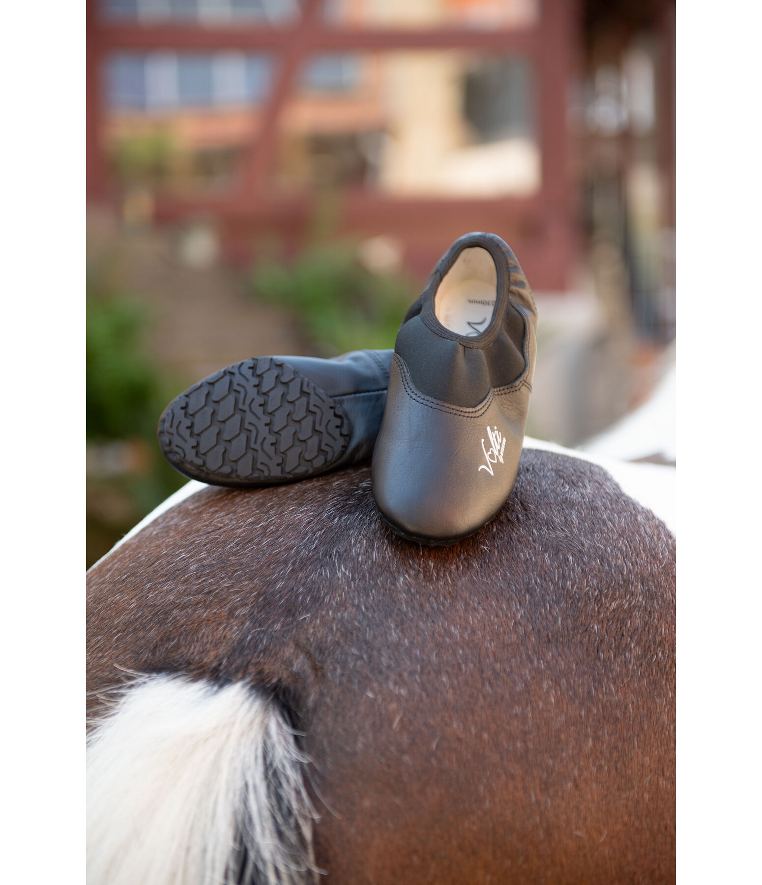 voltigeschoenen Expert