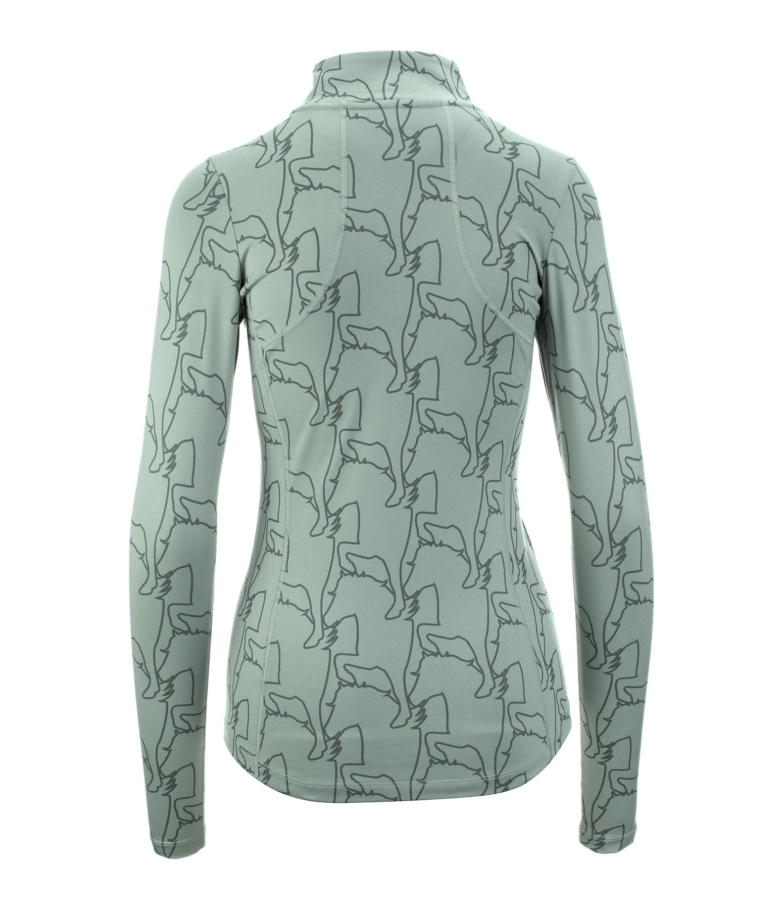 zip longsleeve Asta