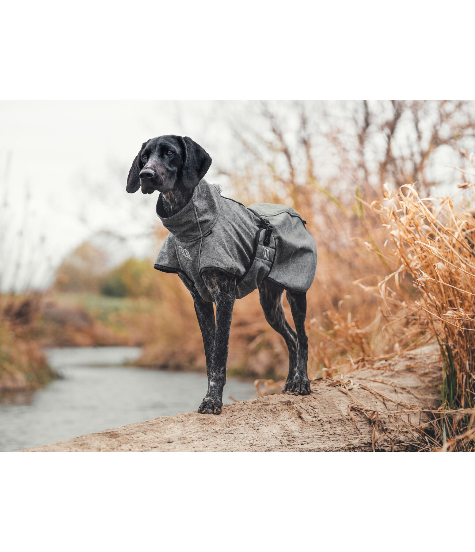 All Round softshell hondenjas Bark, 0 g