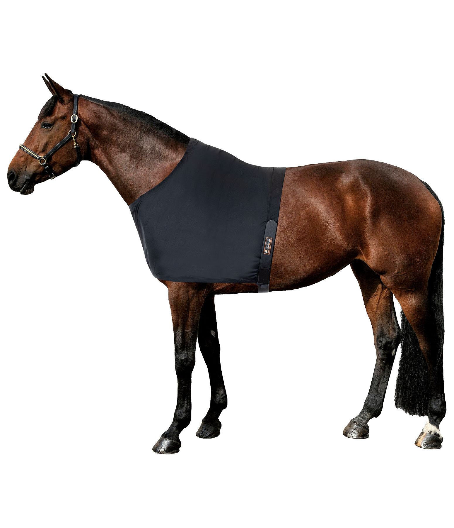 schouderbeschermer Ceramic Rehab voor paarden