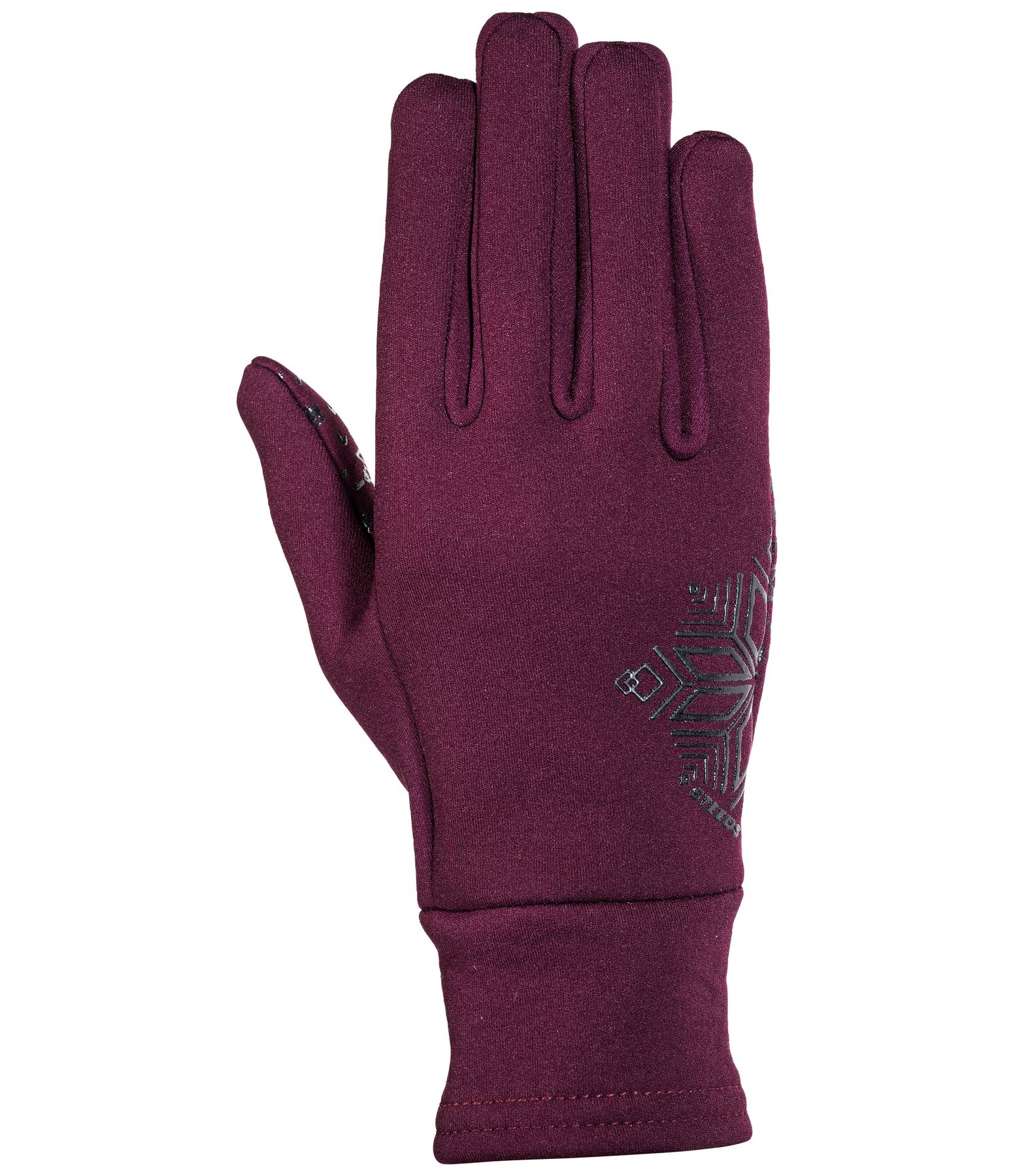 winter fleece handschoenen Galtür