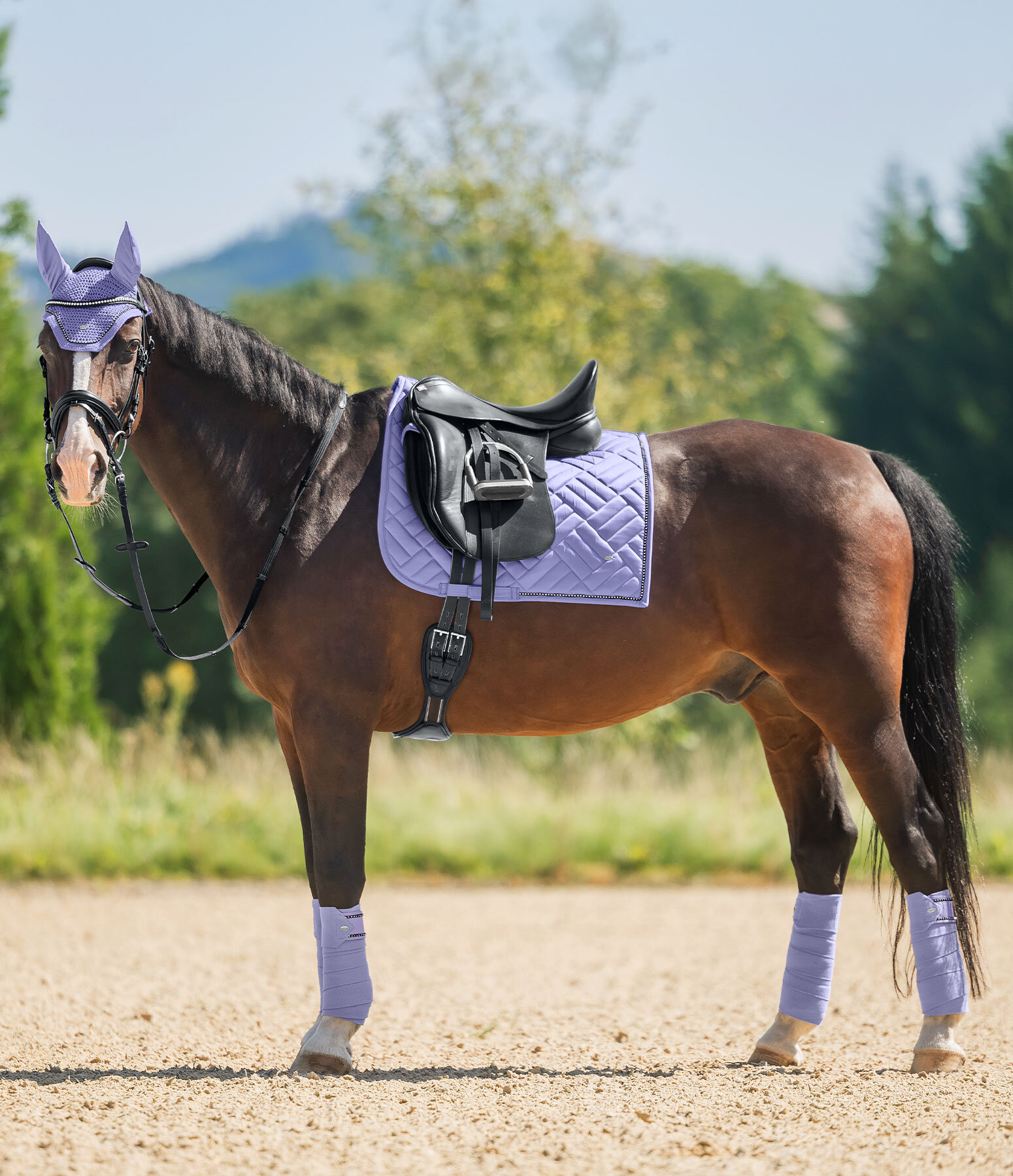 Outfit Brillant in lila