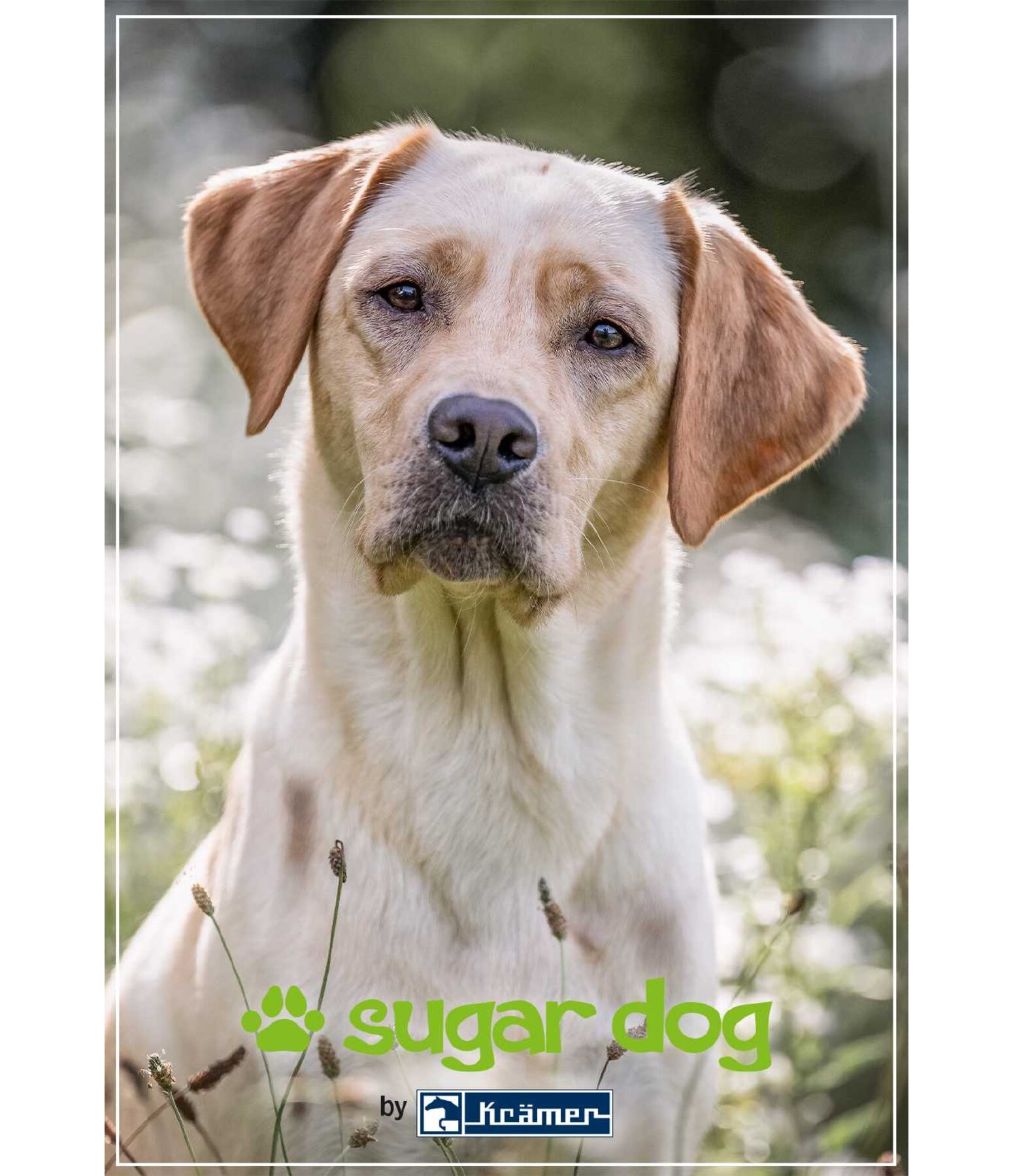 cadeaubon om online uit te printen