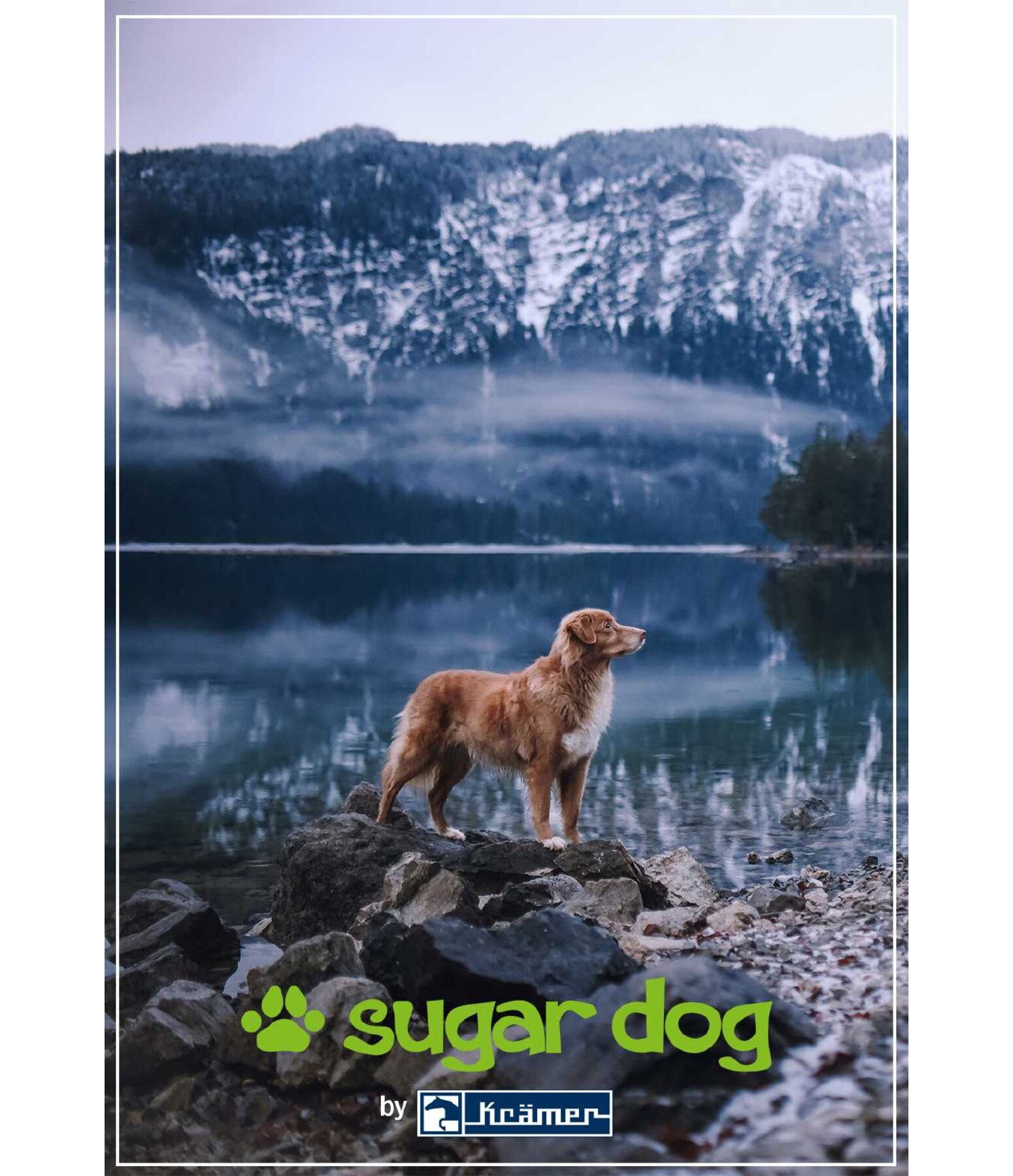 cadeaubon om online uit te printen