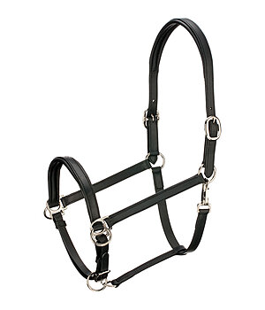 TWIN OAKS trekking sidepull - 182762