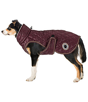 sugar dog hondendeken Archie met teddyfleece voering, 160 g - 230955-4XS-KI