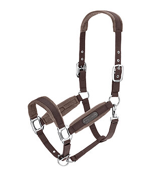 Felix B�hler halster Velvet - 310079-C-ZT