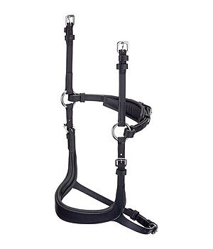 CLARIDGE HOUSE Mix & Match geoliede lederen neusriem Revolution - 320849-C-SS