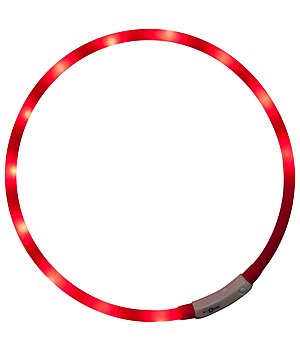 STEEDS LED halsband - 340190--R