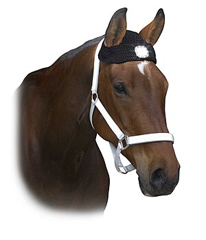 STEEDS LED hoofdlamp voor paarden - 340205