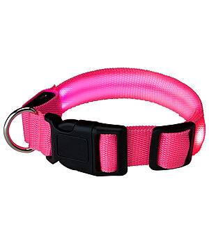 STEEDS hondenhalsband Loom - 340991-M-P