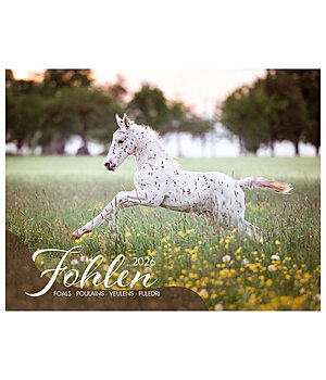 Equino Media Veulen kalender 2026 - 402255