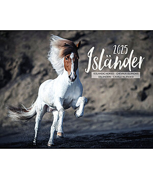 Equino Media IJslander kalender 2026 - 402412