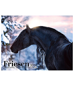 Equino Media Friesen kalender 2026 - 402417