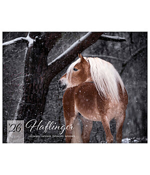Equino Media Haflinger Kalender 2025 - 402531