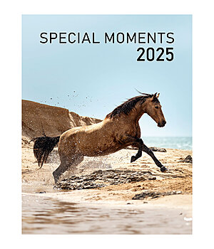 Ponyliebe Fotografie Special Moments Kalender 2025 - 402533