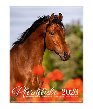 Ponyliebe Fotografie Pony kalender 2025 - 402538