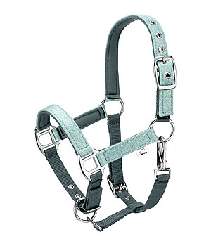 Felix B�hler veulen en shetty halster Twinkle - 440922-FO-DZ