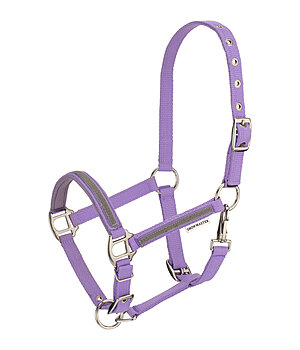 SHOWMASTER veulen en shetty halster Blaire - 440940-SH-FL