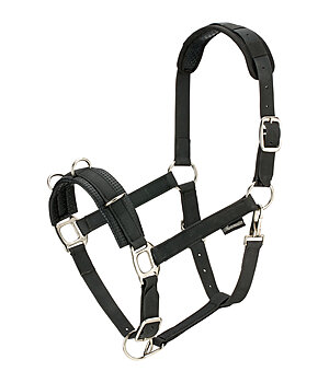 SHOWMASTER longeerhalster Solid - 550007-F-S