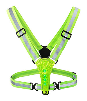 STEEDS LED reflecterende singel USB - 600031--Y