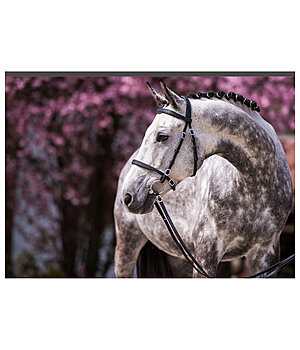 SHOWMASTER wenskaart blanco - 621812