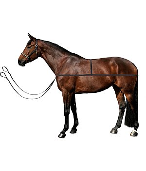 SHOWMASTER transporthulp Quick - 960075--S