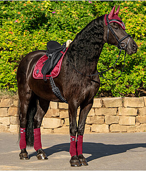 Outfit Felix Bhler Equestrian Sports in kers - OF001570