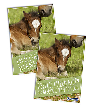 Kramer cadeaubon om online uit te printen - GUTZA2