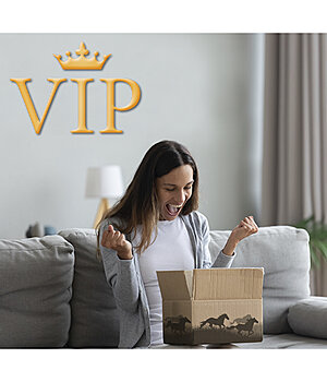 VIP verlenging betaling - PAY_VIP