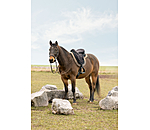 Freemax Light zadel