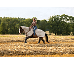western uitrijdeken tegen vliegen met oprolbaar halsdeel
