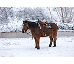 pony westernzadel