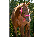 knopenhalster Bo