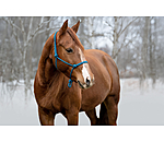 knopenhalster Bo