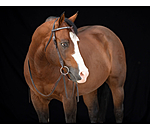 Mix & Match Futurity  geknoopte frontriem Crystal