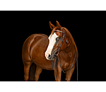 Mix & Match Futurity  geknoopte frontriem Crystal