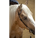 Mix & Match Futurity geknoopte frontriem Pearls
