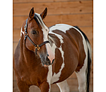 leren halster Premium