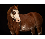 westernhoofdstel Rawhide