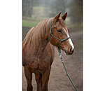knopenhalster set Haylie