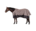 luipaard