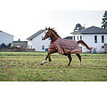 regendeken Billy