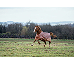 regendeken Billy