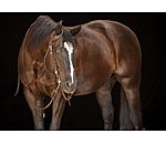 Western hoofdstel Copper