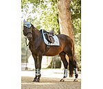 zadeldek Swiss Design