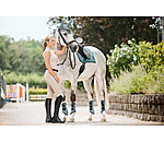 zadeldek Swiss Design